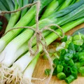 De ce să nu mai arunci capetele de la ceapa verde? Sunt mai utile decât crezi
