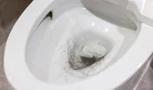De ce nu e bine să arunci părul în vasul de toaletă. Ce trebuie să faci cu el, de fapt