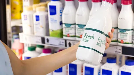 Lapte integral versus lapte degresat - ce să alegi? - VIDEO by CSID