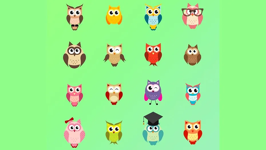 Test de logică | Una dintre aceste bufnițe e diferită de celelalte. Care?