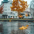 Vremea s-a răcit brusc în România! Au căzut și primii fulgi de nea la Bâlea Lac. Cum va fi vremea în următoarele patru săptămâni?