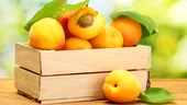 Caisele, fructele ideale în slăbire, cu o mulţime de beneficii pentru adulţi şi copii - VIDEO by CSID