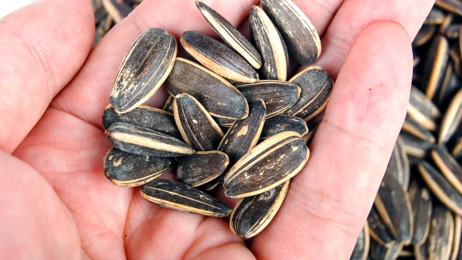 Câte grame de semințe poți mânca zilnic fără să te îngrași. Vei fi surprins câte calorii sunt în 100 de grame de semințe!