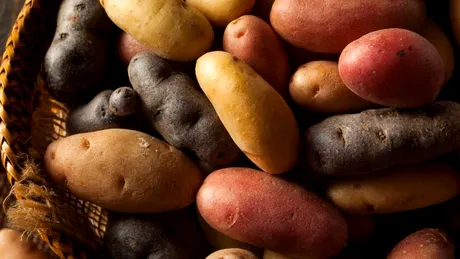 Cartofii - proprietăţi şi valori nutriţionale