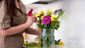Cum faci florile tăiate să rezinte mai mult în vază. Metodele simple care le păstrează proaspete zile întregi