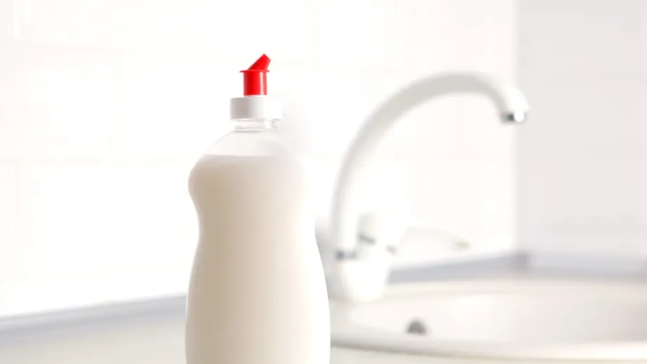 Ce să nu speli niciodată cu detergentul de vase