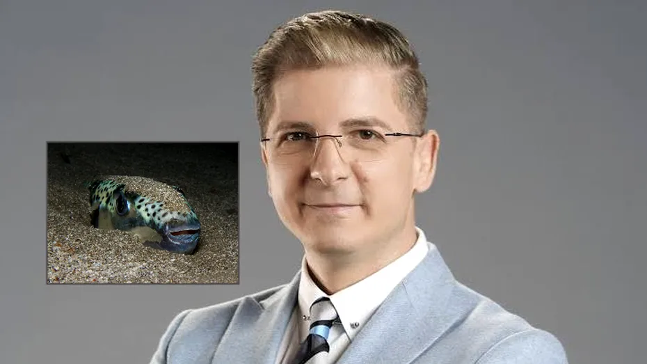 Cum arată mușcătura de pește-iepure, specia care a pus în alertă turiștii din Grecia?