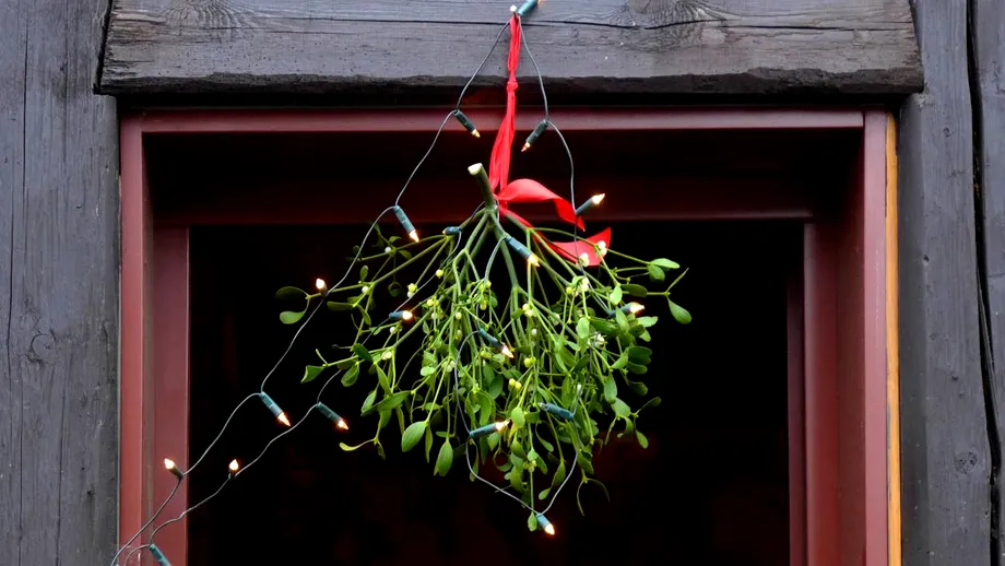 Unde se pune vâscul de Sărbători. Locul special care aduce protecție casei și noroc familiei