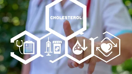 Obiceiul zilnic care ajută la scăderea colesterolului. Ce e bine să ronțăi între mese