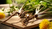 Planta obișnuită care a dat rezultate surprinzătoare în laborator împotriva cancerului de colon. Ce spun cercetătorii și care este avertismentul medicilor
