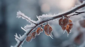 Temperaturi sub pragul înghețului în România. Cât va mai dura valul de frig din octombrie. Se vor înregistra peste 20 de grade Celsius