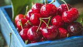 De ce este bine să mănânci cireşe. Beneficiile acestui fruct