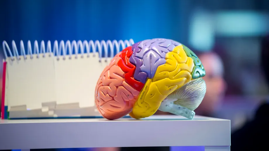 Ajutorul oferit altora încetinește îmbătrânirea creierului, spun experții! De ce e bine să faci voluntariat