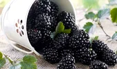 Negrul e la putere: 6 super-alimente „întunecate” pentru o sănătate de fier