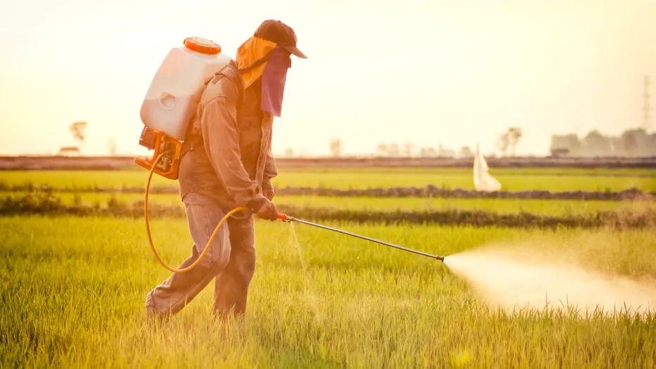 Agenția pentru Protecția Mediului din SUA interzice folosirea unui pesticid asociat cu tulburări neurologice la copii
