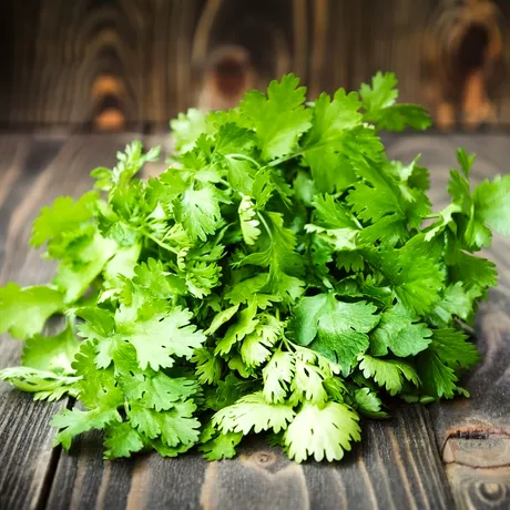 De ce unii oameni urăsc coriandrul: știința din spatele gustului „săpunos”
