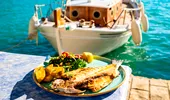 Alertă pentru turiștii care ajung în Grecia! Peștele toxic care se răspândește în mare. Reprezintă un pericol