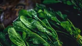 Superalimentul care te scapă de balonare și inflamații. Are efecte mai bune dacă este congelat