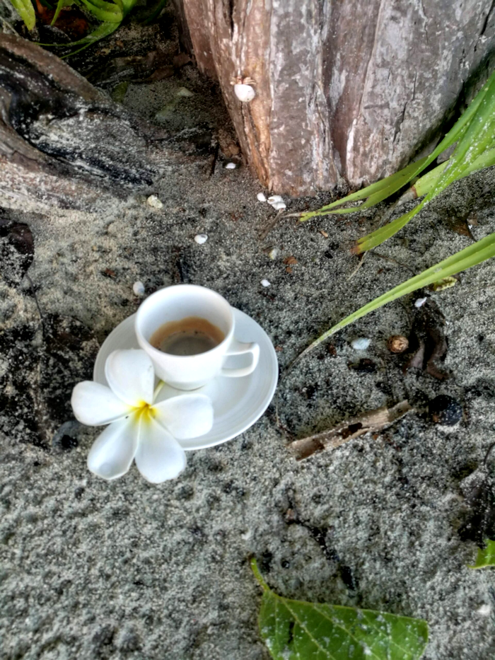 cafea, Maldive, foto Mădălina Drăgoi