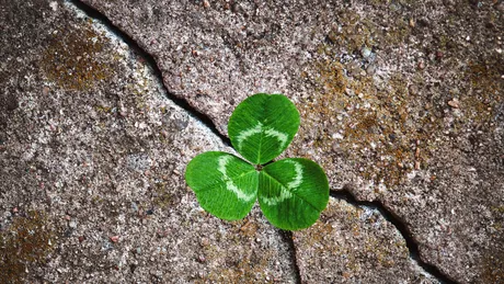 Dezvoltarea personală în era digitală: 4 pași prin care ne putem autodepăși