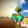 Ziua Pământului 2026. Cum putem proteja planeta în fiecare zi?