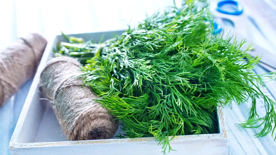 Condimentul verde care te ajută să slăbești și să ai un sistem imunitar puternic!