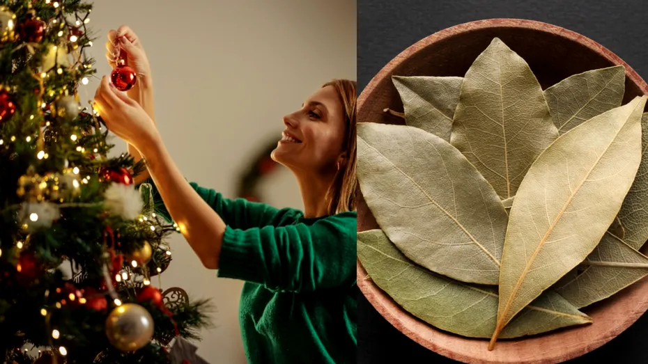 De ce este bine să pui frunze de dafin în bradul de Crăciun