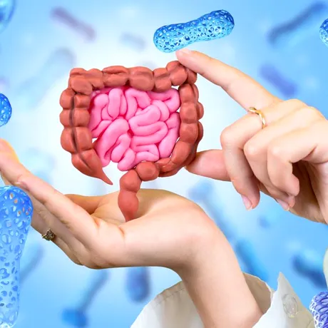 INTERVIU Prof. dr. Dan C. Vodnar, despre adevărul din farfurie: cu ce ne hrănim și cum ne afectează viața. „Cea mai sustenabilă alimentație este cea pe care o poți menține fără eforturi dramatice”