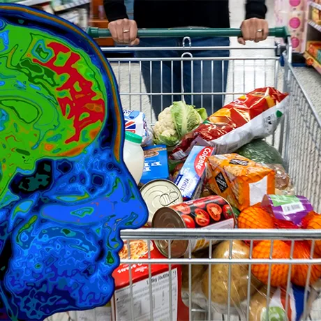 Alimentul de 4 lei care repară celulele creierului. Este preferatul nutriționiștilor pentru un creier sănătos și agil