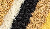 14 cele mai sănătoase cereale integrale și cum să le introduci în dietă