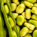 Rețete rapide cu fasole verde proaspătă pentru vară