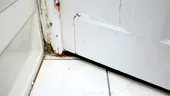 Metoda rapidă de 2 minute care previne definitiv apariția mucegaiului în baie