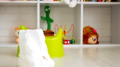 Metoda de trei zile pentru renunțarea la scutec. O bonă care a antrenat 15 copii susține că funcționează „de fiecare dată”