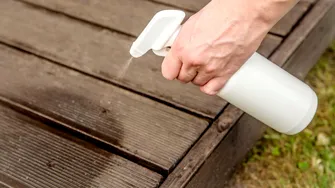 Soluții naturale eficiente împotriva insectelor din casă și grădină. Pune-le în aplicare la început de primăvară!