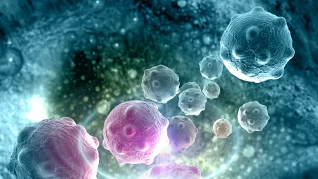 P53, proteina care luptă împotriva cancerului