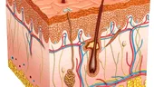 S-a descoperit gena din spatele bolilor de piele