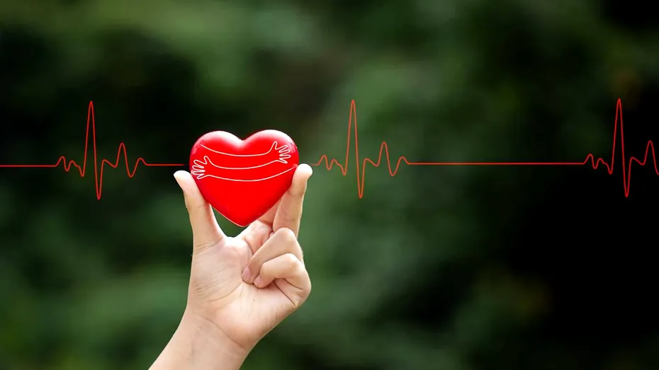 Boala invizibilă a inimii: ce ne spune astăzi cardiomiopatia hipertrofică obstructivă