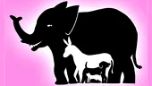 Test IQ | Ești un geniu dacă afli câte animale sunt, în total, în această poză
