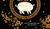 Anul Porcului: horoscop chinezesc 2019