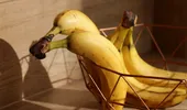 Mască de față cu banană pentru piele uscată. Ce efect poate avea și cum o prepari corect