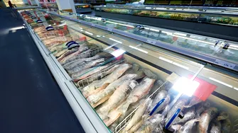 Cum îți dai seama dacă peştele pe care îl cumperi din supermarket este proaspăt