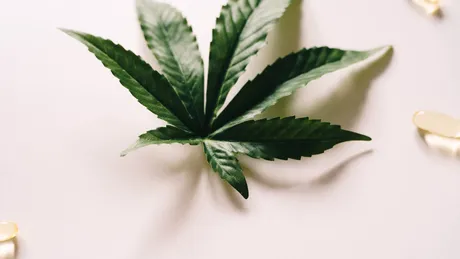 Minunile incontestabile ale canabinoizilor pentru piele