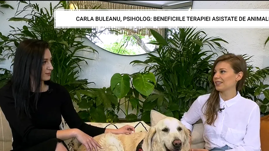 Carla Buleanu, psiholog: beneficiile terapiei asistate de animale