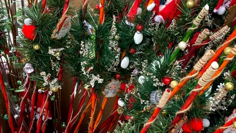 Semnificația nuielușei de Moș Nicolae! De ce trebuie pusă într-un vas cu apă până la Anul Nou