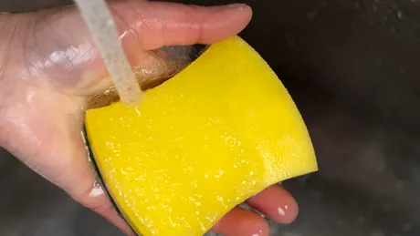 Cum să cureți și să dezinfectezi CORECT un burete de bucătărie