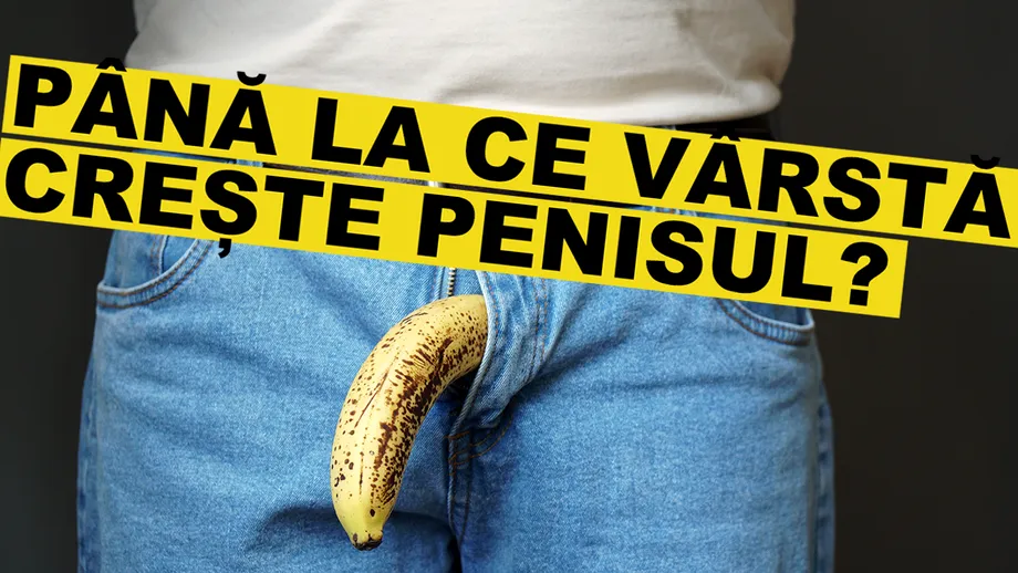 Până la ce vârstă crește penisul?
