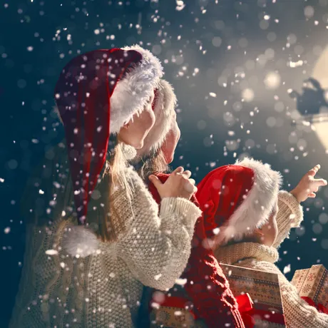 Renii lui Moș Crăciun, magia din spatele ajutoarelor zburătoare. Povestea fascinantă