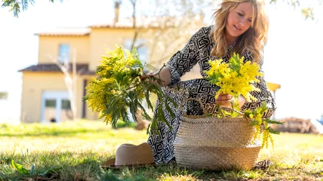 Tunderea plantelor NU este obligatorie. 5 plante pe care nu trebuie să le „curățăm” înainte de iarnă