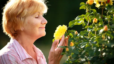 Mirosurile florale, arma secretă pentru un creier sănătos și combaterea Alzheimer