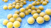 Simptome ale infecţiei cu stafilococ auriu - VIDEO by CSID
